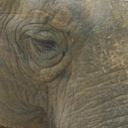 code_3_415's profile picture. 