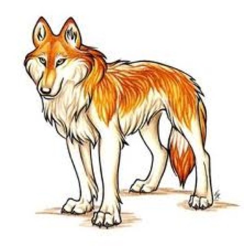 (male) the names apalo im nothing special just your ordinary wolf. no powers, no forms, just a caring heart *smiles* dont be shy to drop by