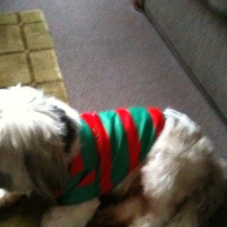 BIG RABBITOHS FAN,have only one red eye and the other green,that's all I see