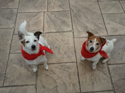 klk2111's profile picture. 