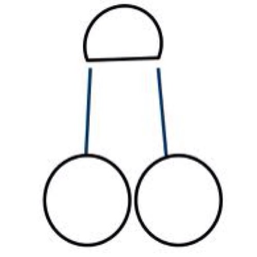 Ur average penis here