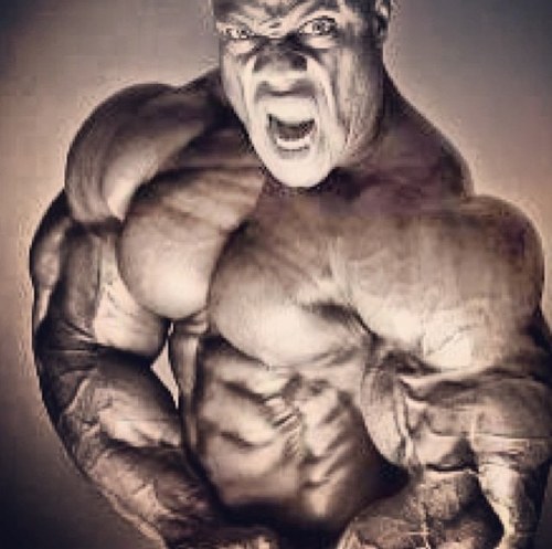 ToolCode's profile picture. #EatBigGetBig #FuckBitchesGetHuge #rooiiddds #swoll #powerlifter #bro talk shit NEVER get hit. Pussies.