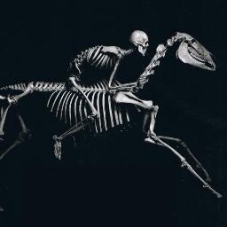 Fisioterapia & Osteopatia cavalls, algun gos a arvivet, https://t.co/iELww02xBT, filles, cursos, màster, doctorat...