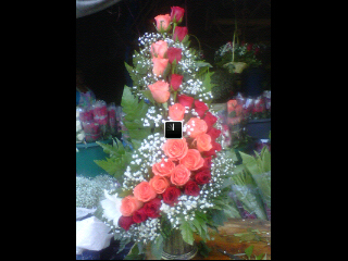 MejiaMariamejia's profile picture. Amo a mi esposo y a mi bella princesa☀