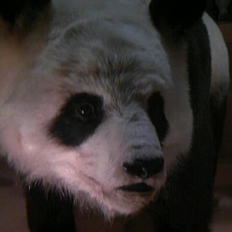 kurizo69 Profile Picture