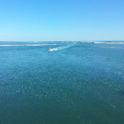 ClarityYong's profile picture. Protoss Player - Clarity Gaming