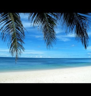 pinayCPA's profile picture. I am a mother of 1 1/2 & a 3 yr old boys. Pursuing the CPA Exam. I do stay up till 3 am to study and wake up @ 6:30 to prepare my kids for the day.