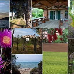 Ambiente familiare, natura, buone pratiche, mare, relax e Maremma sono il coktail della vostra vacanza.