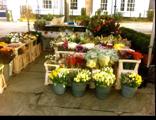 Laura's gardens based in billingshurst, also have a quaint stall in carfax Horsham, on saturdays. Hope to see you all soon.