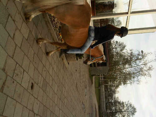Just follow ; @OMGitsChanel