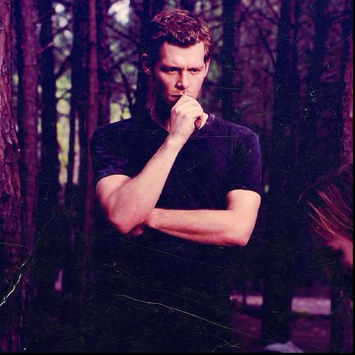 Loner and a lover. I will turn everyone into hybrids once I find Katerina Petrova. [RP/Engaged to @HeavenlyLenity] #Batman #Powahpuff