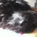 Millie lewis - @Millie_lewis10 - Twitter