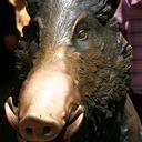 Chris Kinder - @ckinder40 - Twitter