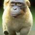 Michael Lee (@mrmonkeydog) Twitter profile photo Michael Lee (@mrmonkeydog) Twitter profile photo