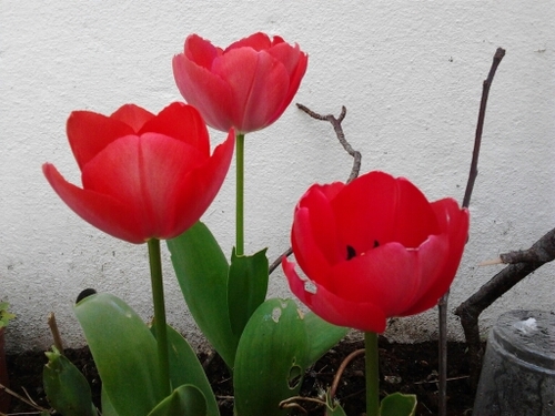 _mayjd's profile picture. 