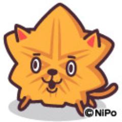 koizumi0919's profile picture. 大卒の幼稚園児です。そろそろ頭髪の心配をしなければならなくなりました。