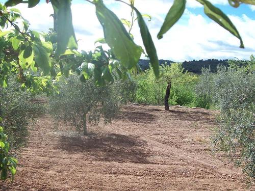 MariMonton's profile picture. 