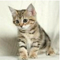 Dj Rob (@djrob10) 's Twitter Profile