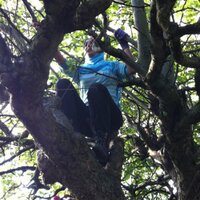 Professor Atiya Kamal (@atiya_k) 's Twitter Profile