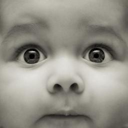 GoldenHackcom's profile picture. Hello World :)