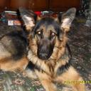 Sonja Perry - @sonja_perry - Twitter