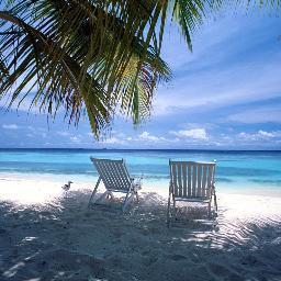 happysatday's profile picture. happy holiday everyone