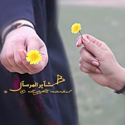 لم أهمل أحد يومآ .. كل من تسرب من بين يدي لم يكن ممسكآ بي جيدآ ..