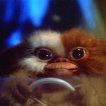 einhazenv's profile picture. |japan and foods passion|jack of certain kinds of trades|gamers of certain genre and consoles|fellow artworker|ordinary passerby|