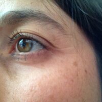 Isabelle Lecompte (@zaboulecompte) 's Twitter Profile