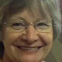 The Hive  (@sheptonwools) 's Twitter Profile