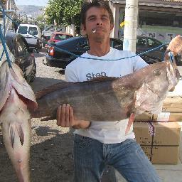 http://t.co/mrIsoZ6v - Το Στέκι του Ερασιτέχνη Ψαρά. Ψάρεμα, Εξοπλισμός, Τεχνικές. Από σκάφος ή από ακτή. Λύσεις, προτάσεις, συζήτηση.