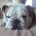 Howard Walker - @HowWalker - Twitter