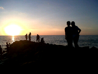 Cinta itu persahabatan °\(‾▿‾)/°