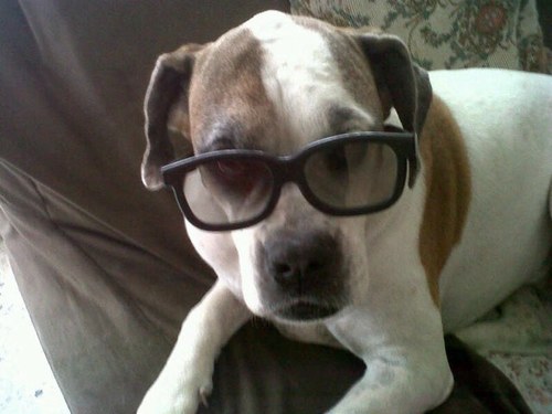 lmuriel54's profile picture. Industrial engineer