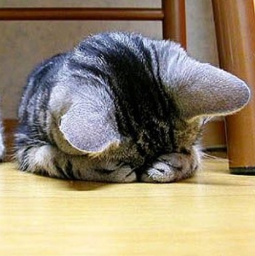 soongaya's profile picture. 부동산!! 시장흐름에 눈이 트이는 그날까지 쭉쭉--
15회 공인중개사// 다양한 경험으로 나를 일으키자!!