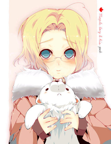 (VRP: @AniMangaRP) Vyaktīkaraṇa of Canada. Kuma's master. Want some maple and pancake, everyone? ^^