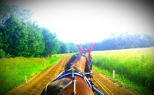 80Persson's profile picture. 