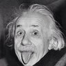 36Wildcard's profile picture. Opinions are my own. I survived the Trudeaus. If you want to get the economy moving, stop finding new ways to tax the hell out of the middle class.