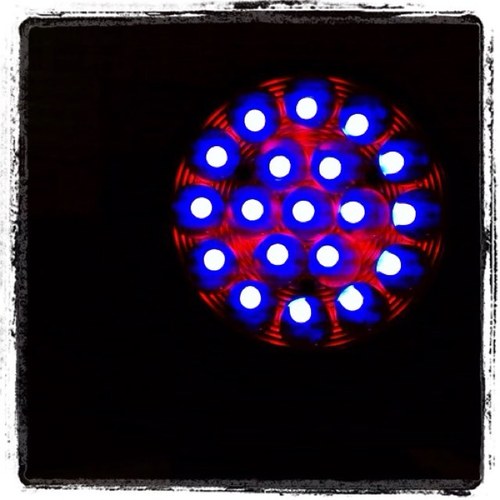 Lighting Designer