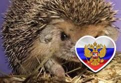 Заполняю жизнь смыслом
