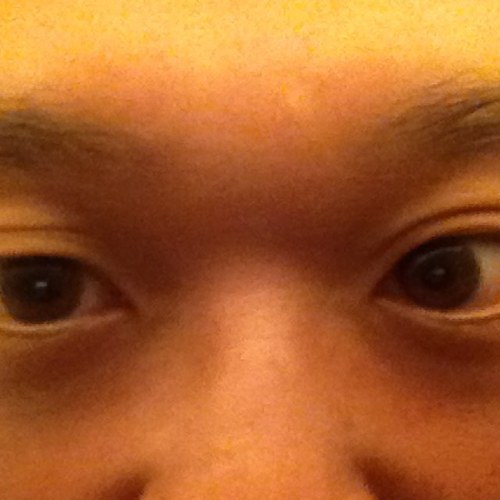 FastecE5's profile picture. 裏アカ作ってみた。173-68-4x凸 結構奥まで当るらしい。詳しくはDMで。