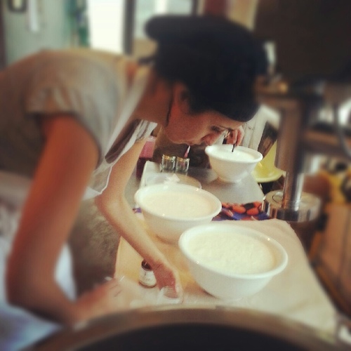 Old School Iranian yogurt maker. Advocate.