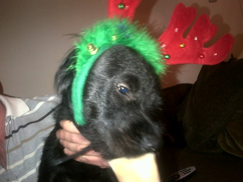 blowerk's profile picture. 