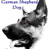 BlueAngel GSD Rescue (@blueangelgsdr) 's Twitter Profile
