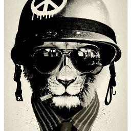 lUrkinl's profile picture. 