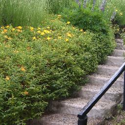 cuasilipu's profile picture. 