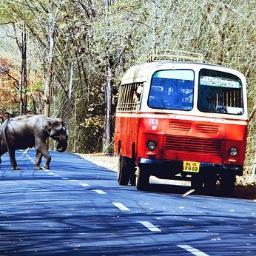 K.S.R.T.C - Kerala State Road Transport Corporation...(UnOfficial)
Account based on KSRTC's FACEBOOK FANS group...