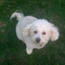 Linnie Morgan - @lmcardsfanstl - Twitter