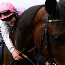 Hints4Horses's profile picture. We ❤ the horse racing!