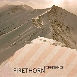 FirethornFXP's profile picture. 